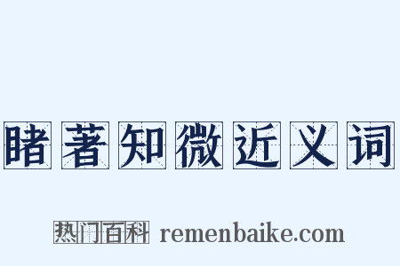 睹著知微近义词是什么意思的图片